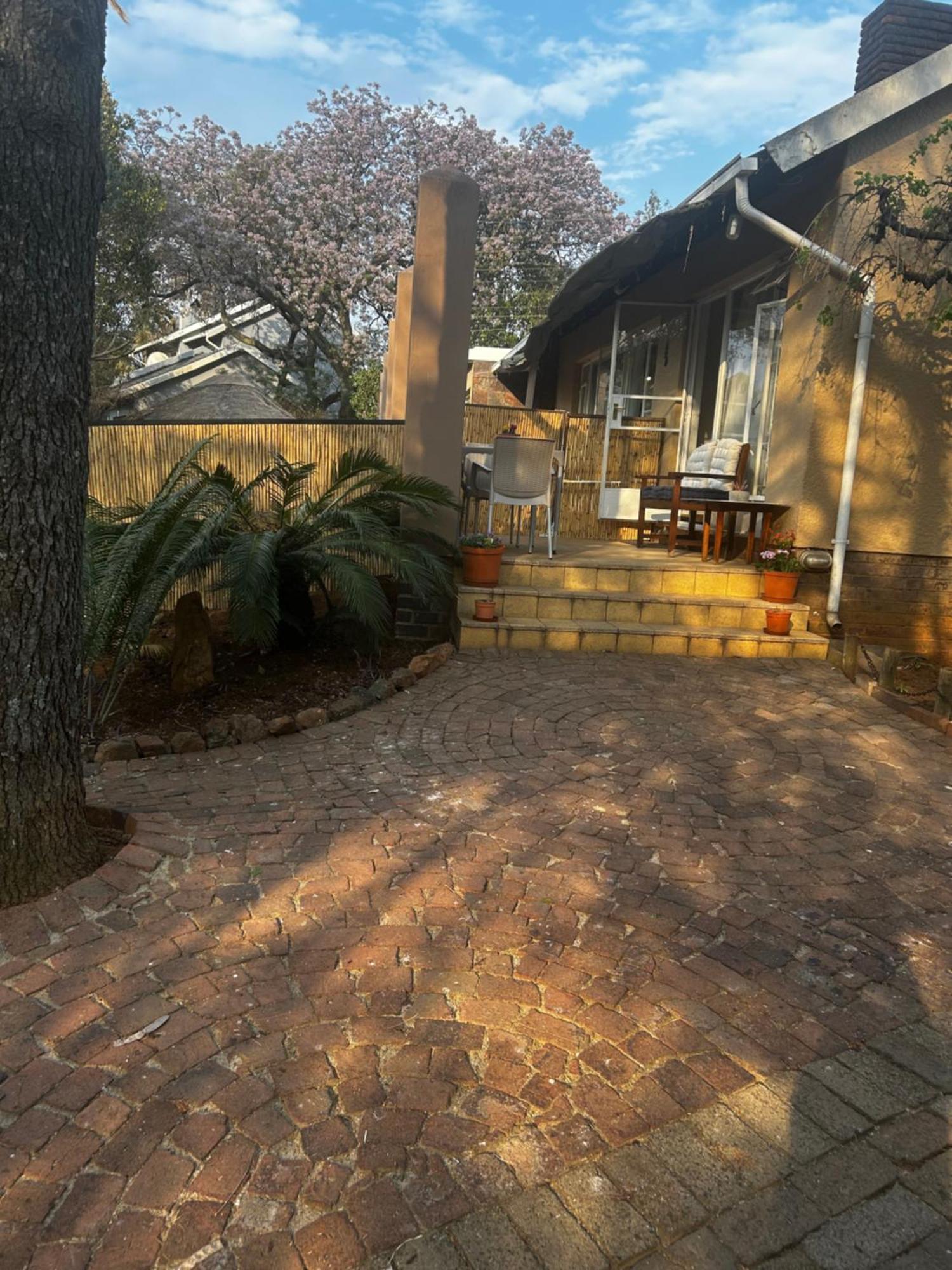 Fridas Haven Johannesburg